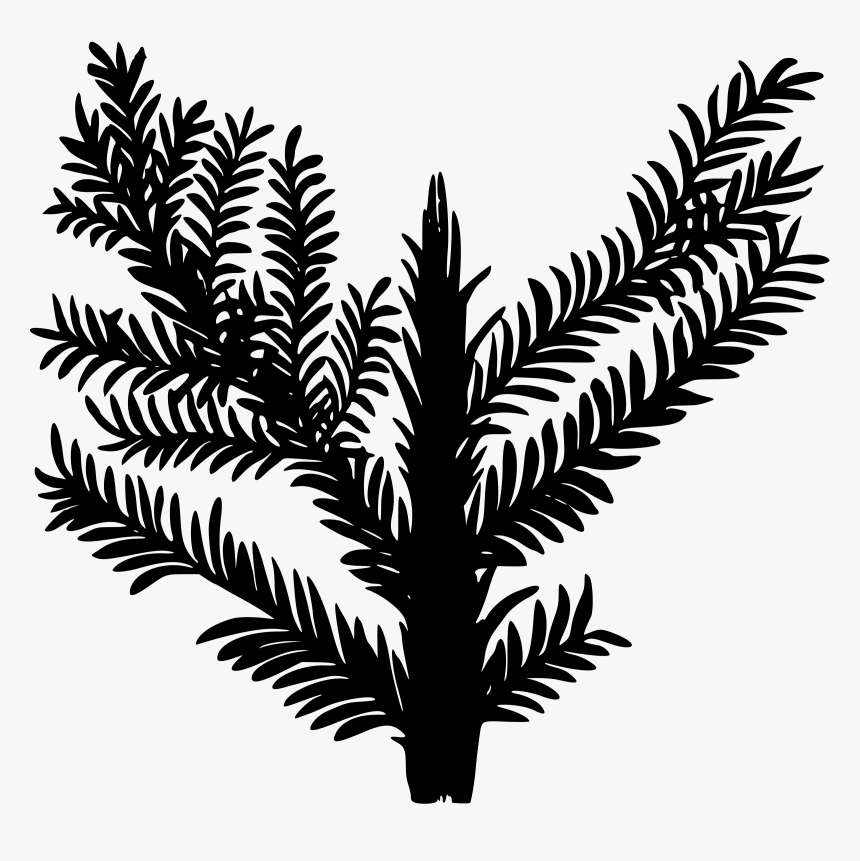 Triassic Plant Clip Arts - Triassic Plants Clip Art, HD Png Download, Free Download