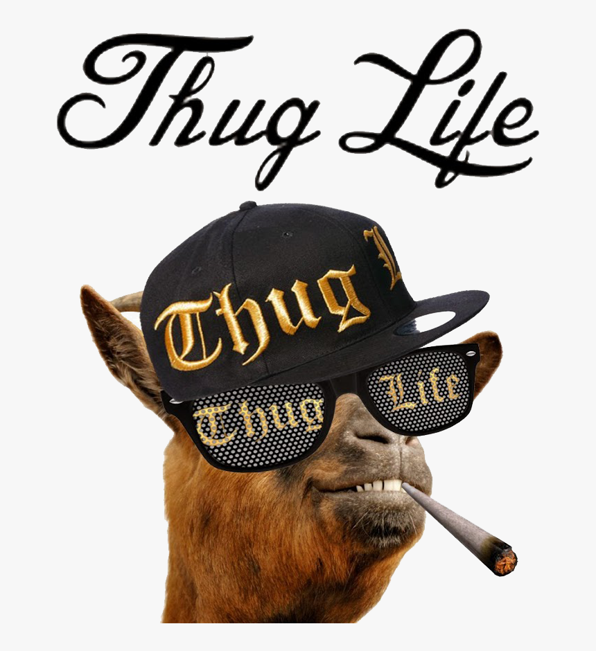 Thug Life Png - Thug Life, Transparent Png, Free Download
