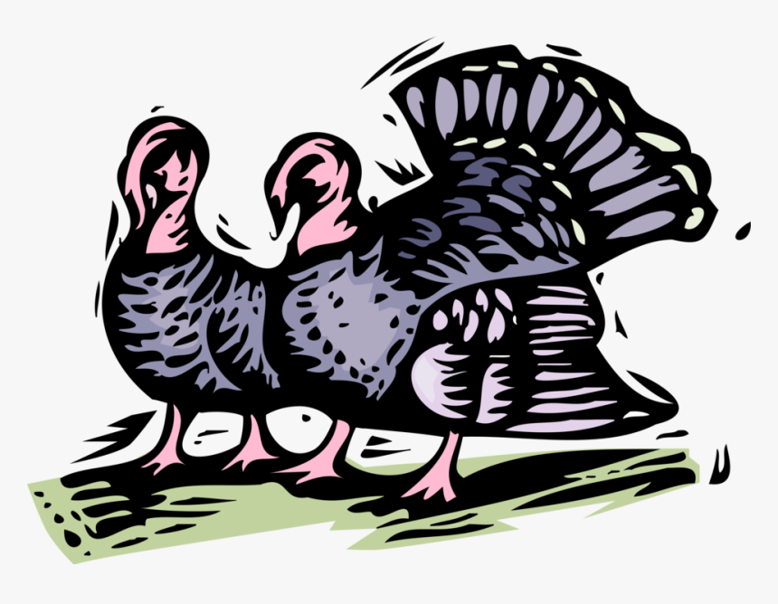 Vector Illustration Of Wild Turkey Christmas Or Thanksgiving - Turkeys By Bailey White Resumen, HD Png Download, Free Download