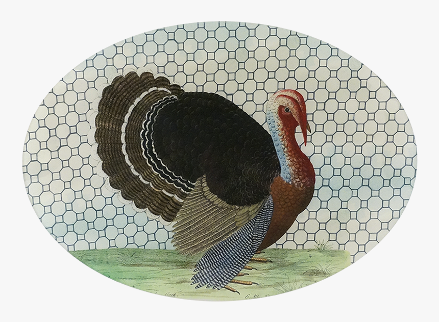 Wink Black And White, HD Png Download, Free Download