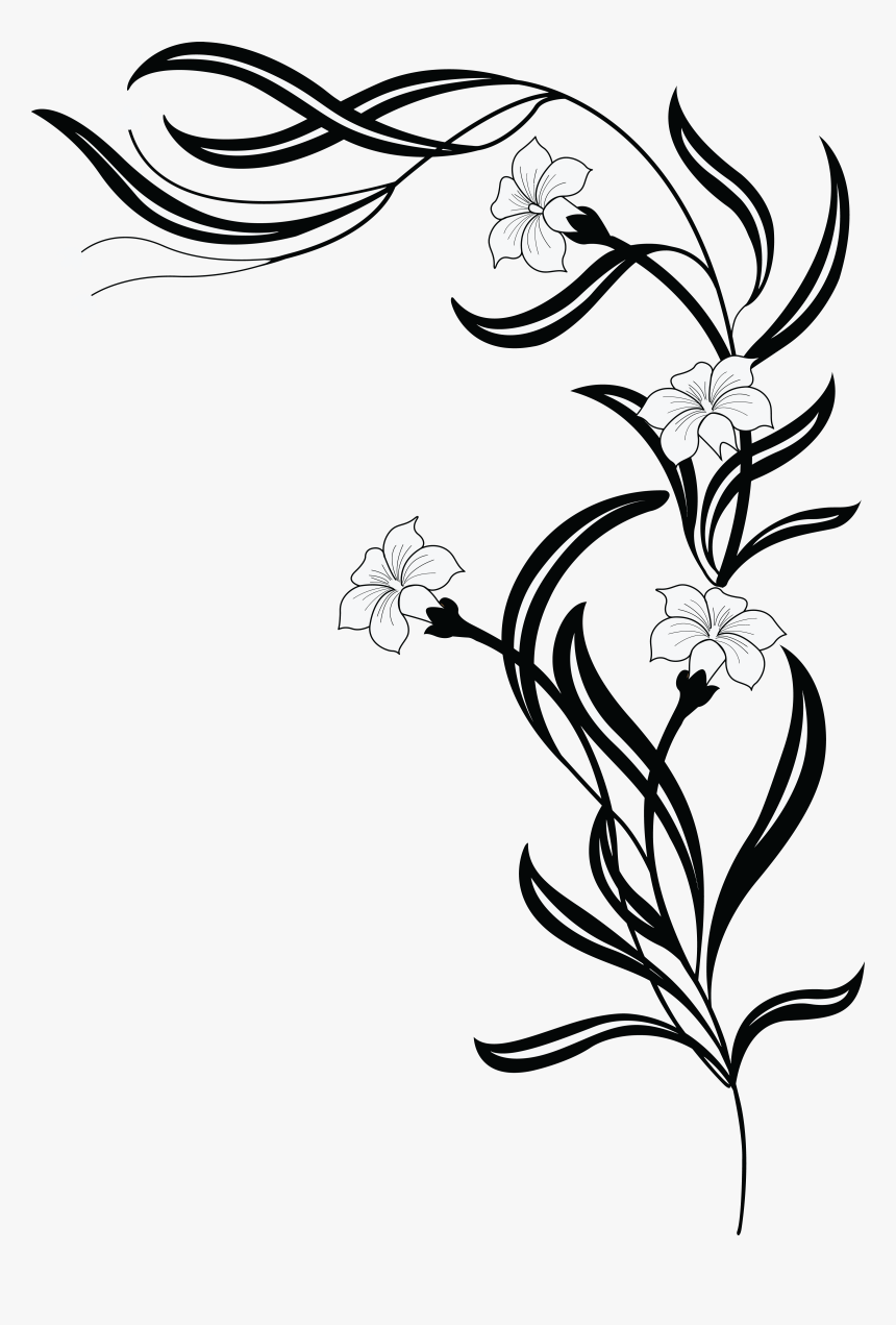 Vine Png Black And White - Flower Drawing Art Design, Transparent Png, Free Download