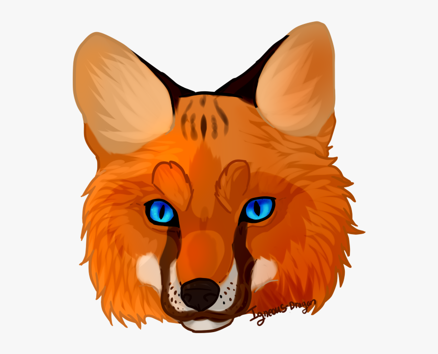 Transparent Fox Clip Art - Fox Clipart Face, HD Png Download, Free Download