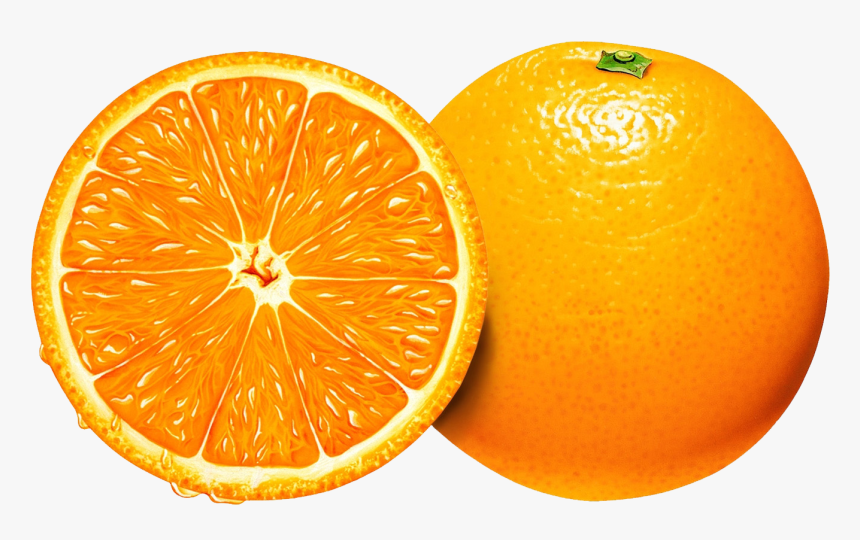 Orange Png Image, Free Download - Orange Slice Vector Png, Transparent Png, Free Download