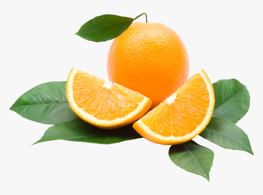 Orange Png Image, Free Download - Orange Png, Transparent Png, Free Download