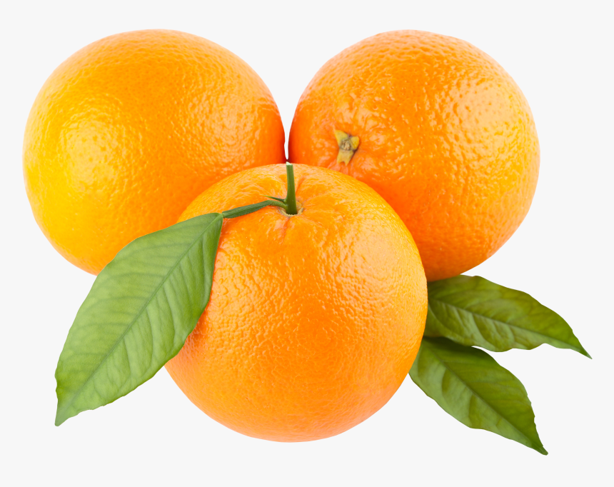 Orange Png Image, Free Download - Oranges Clipart, Transparent Png, Free Download