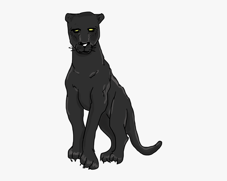 Black Panther, Panther, Wild Cat, Feline, Wild Animal - Pantera Dibujo Png,  Transparent Png - kindpng
