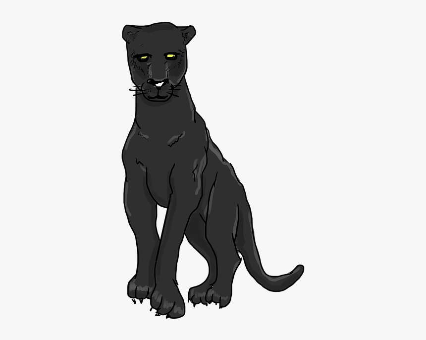 Black Panther, Panther, Wild Cat, Feline, Wild Animal - Pantera Dibujo Png, Transparent Png, Free Download