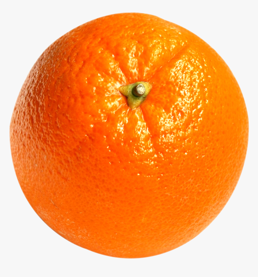 Orange Fruits Png, Transparent Png, Free Download