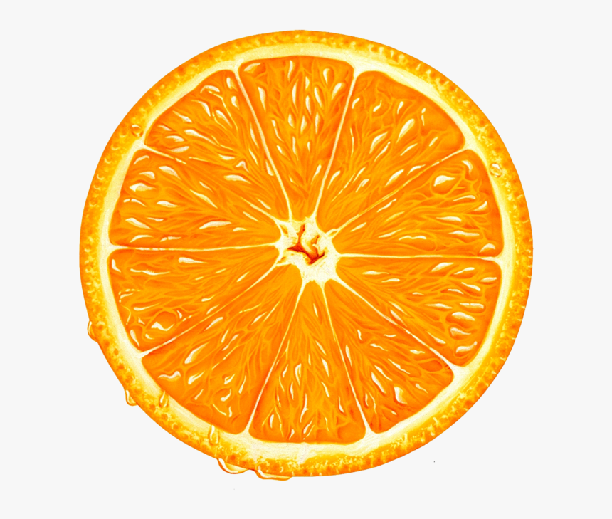 Orange Slice Png Clipart - Orange Slice Vector Png, Transparent Png, Free Download
