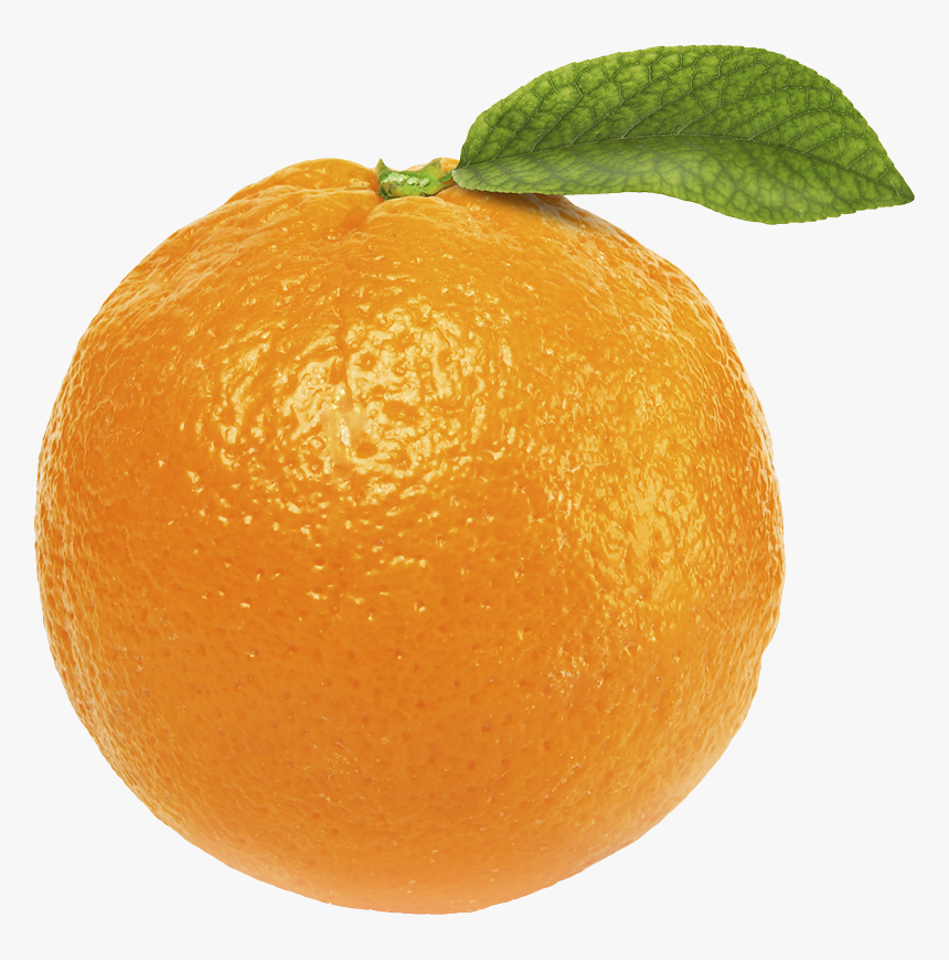 Orange Png Image - Transparent Background Orange Png, Png Download, Free Download