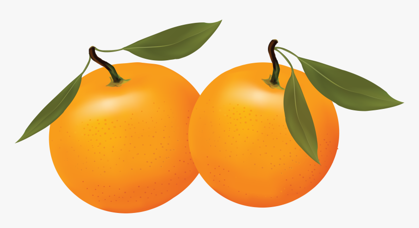 Orange Png Image, Free Download - Oranges Clipart Png, Transparent Png, Free Download