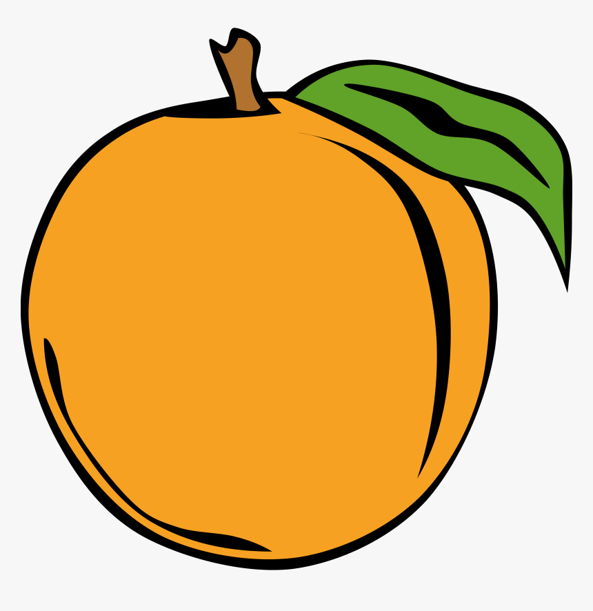 Fruit Orange Svg Clip Arts - Peach Clip Art, HD Png Download, Free Download