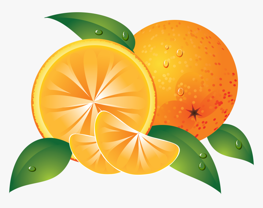 Oranges Png Image, Transparent Png, Free Download