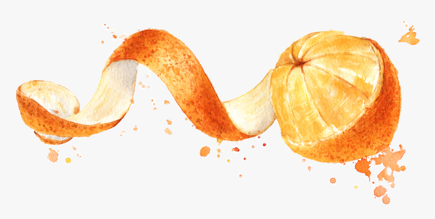 Orange Png, Transparent Png, Free Download