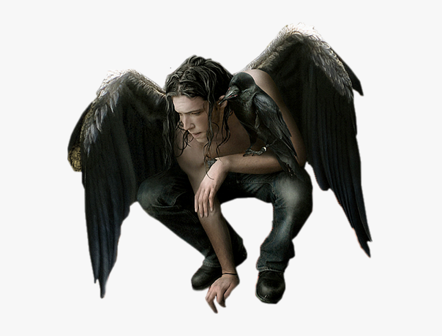 Male Angel Png, Transparent Png, Free Download