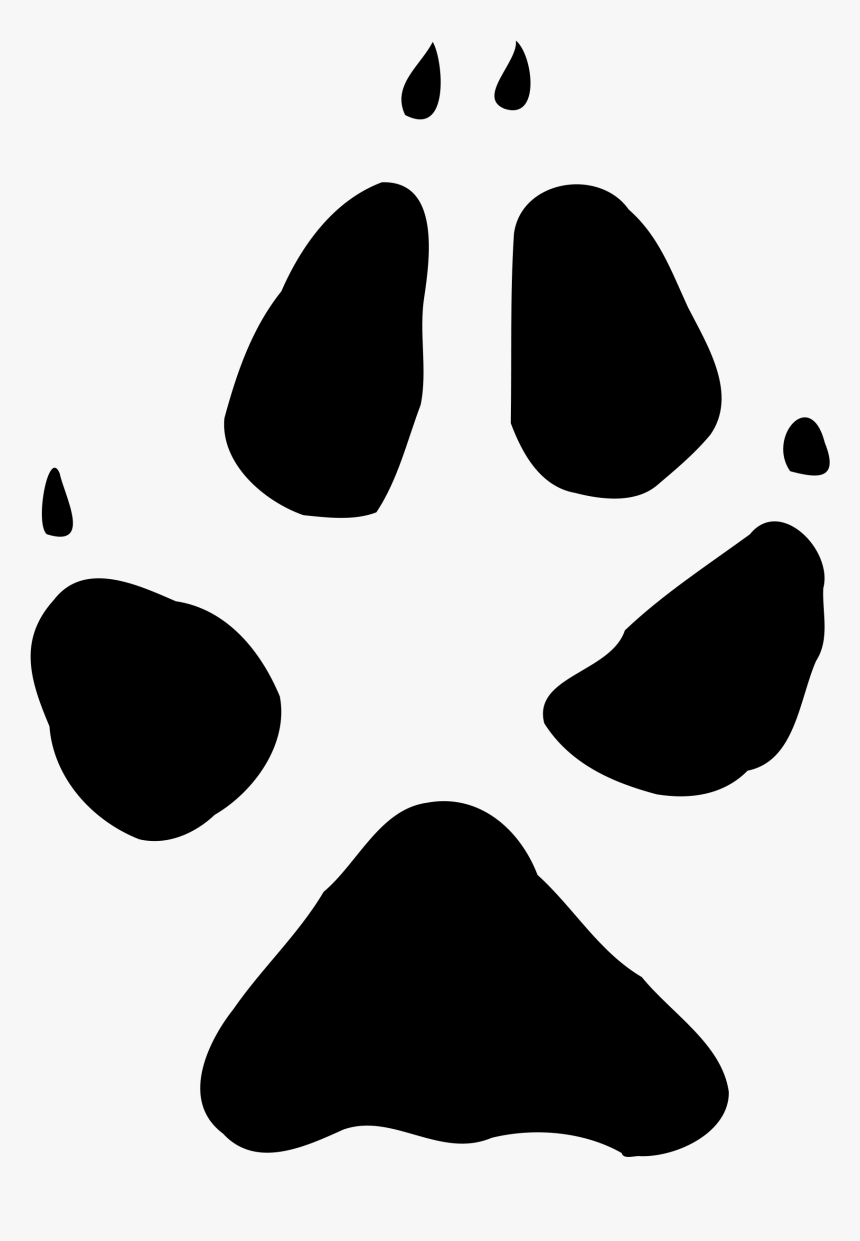 Fox Paw Print Png - Arctic Fox Paw Print, Transparent Png, Free Download