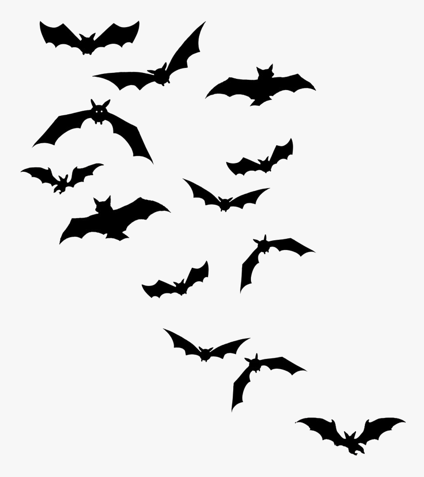 Bat Drawing, HD Png Download, Free Download