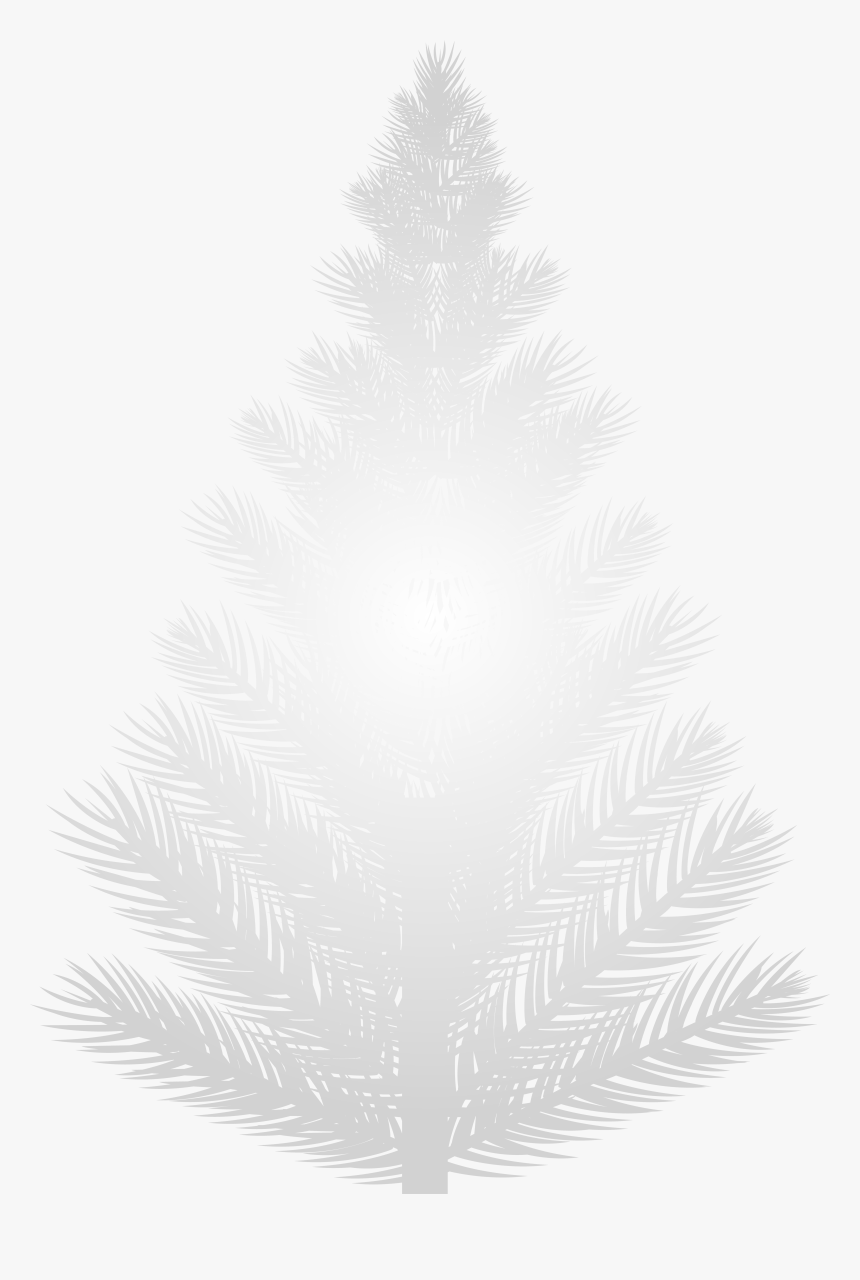 White Pine Tree Png Clip Art Image - White Pine Tree Clip Art, Transparent Png, Free Download