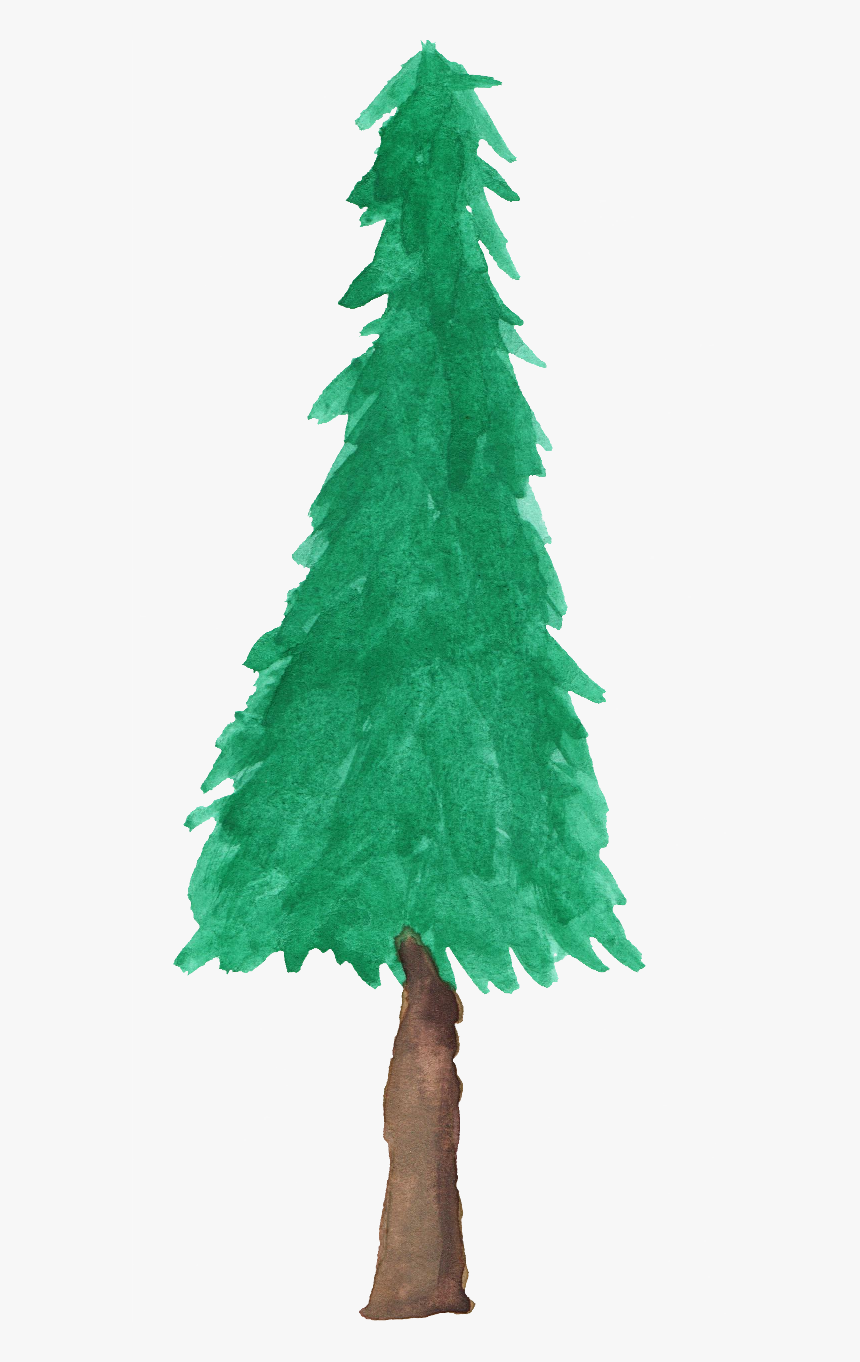 Watercolor Pine Tree - Watercolor Pine Trees Clip Art, HD Png Download, Free Download