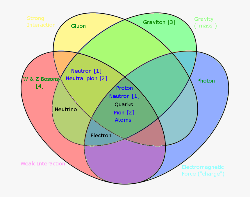 Particles By Fundamental Interactions - Fundamental Interaction, HD Png Download, Free Download