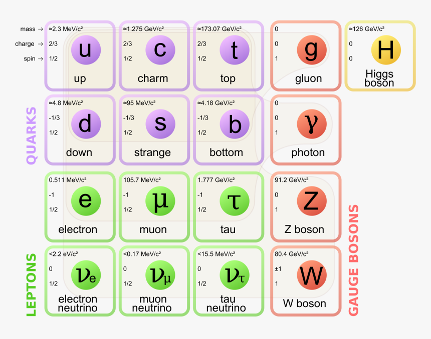 Standard Model Of Matter, HD Png Download, Free Download