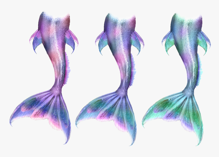 Ariel Mermaid Tail Siren Drawing - Mermaid Tails, HD Png Download, Free Download