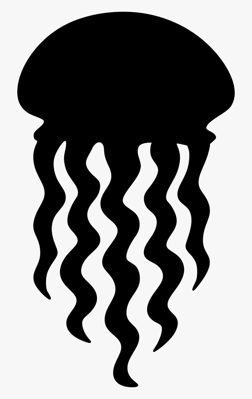 Jellyfish Mandala Svg Hd Png Download Kindpng