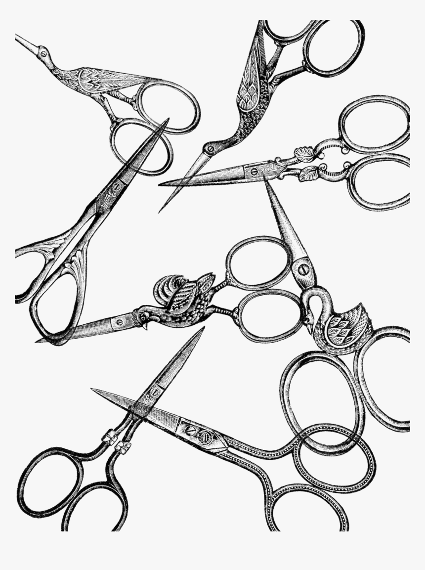 Scissor Vintage Png, Transparent Png, Free Download