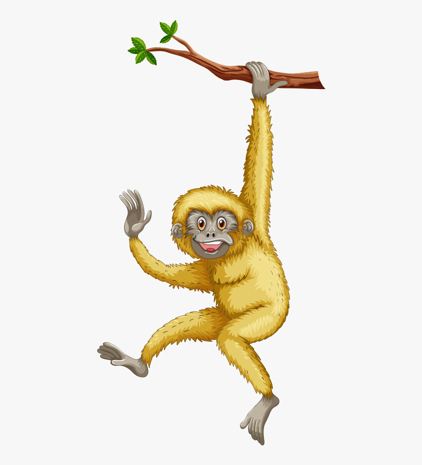 Spider-monkey - Monkey, HD Png Download, Free Download