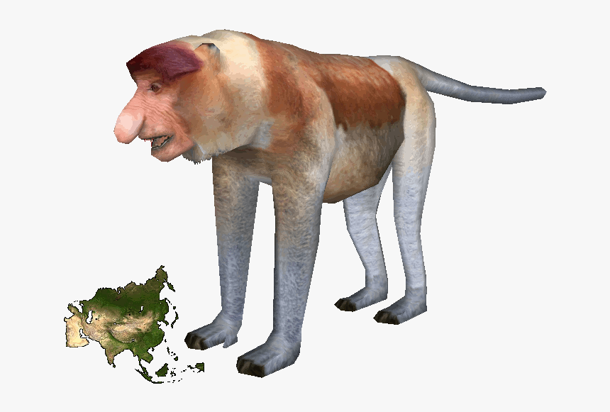 Proboscis Monkey Png , Png Download - Zoo Tycoon Memes, Transparent Png, Free Download