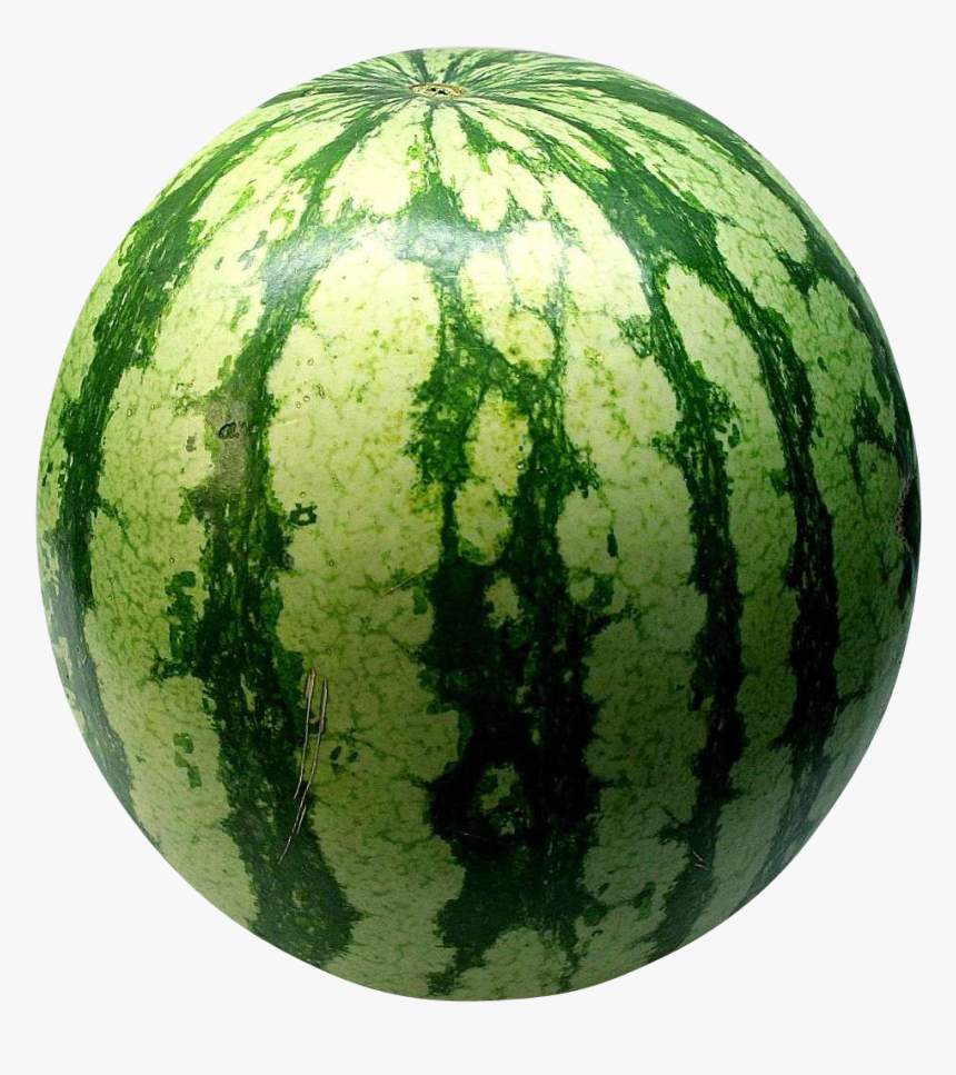 Big Green Watermelon Png Image - Watermelon Png, Transparent Png, Free Download