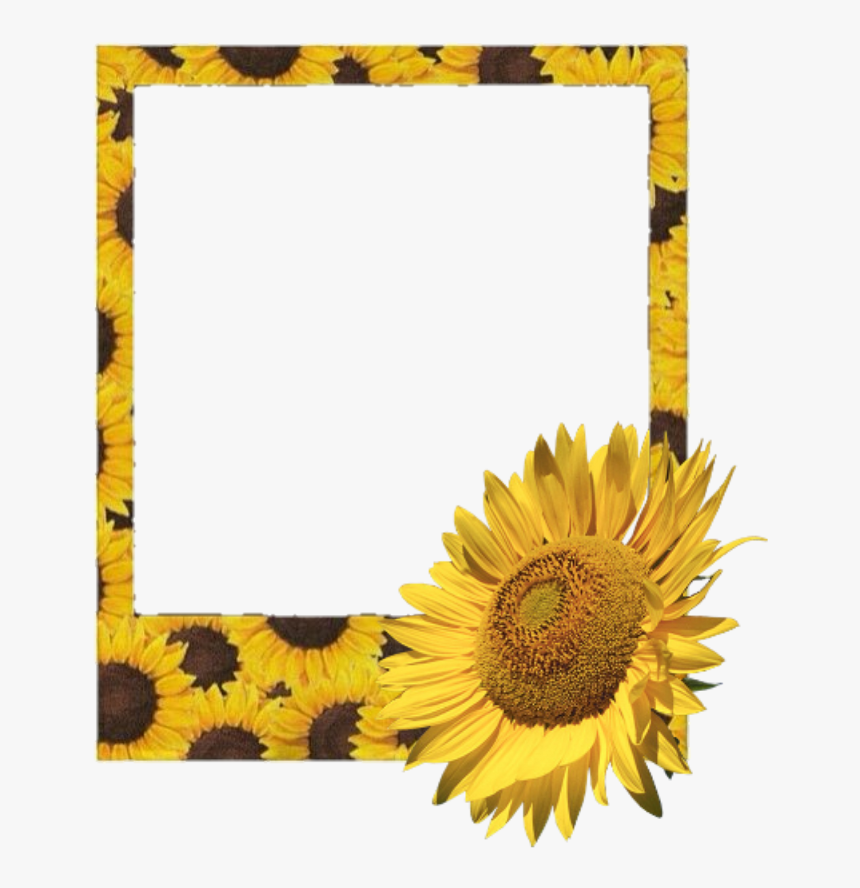 #polaroid #frame #flower #sunflower #sunflowers - Yellow Polaroid Frame Png, Transparent Png, Free Download