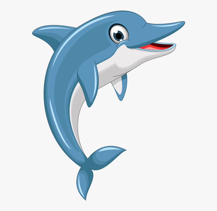 Dolphin Cartoon Png, Transparent Png, Free Download