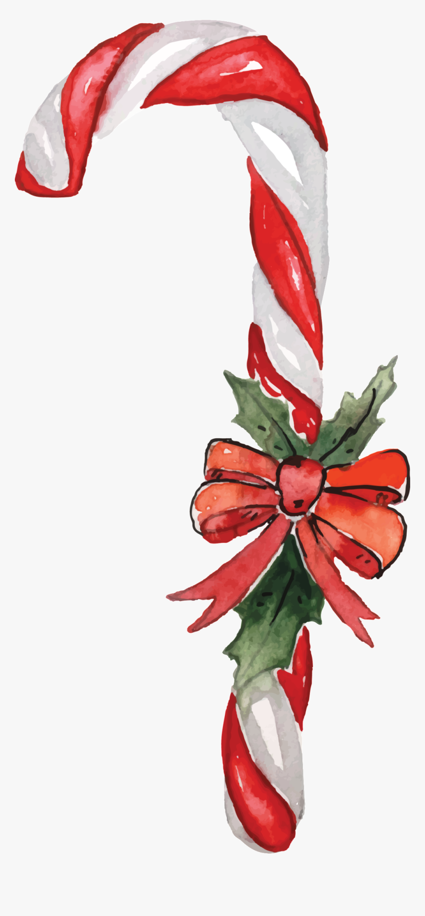 Christmas Candy Png Transparente - Cut Flowers, Png Download, Free Download