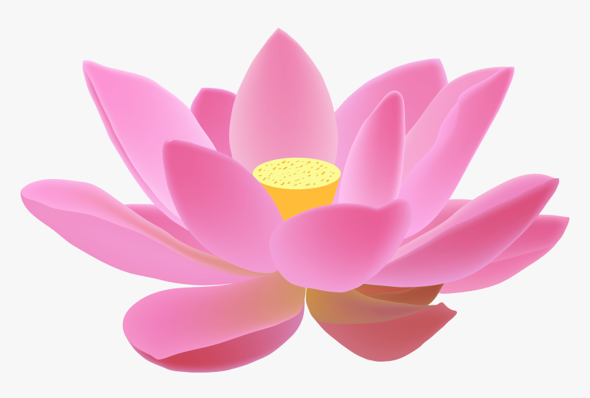 Transparent Lotus Vector Png - Diya Images Hd Png, Png Download, Free Download