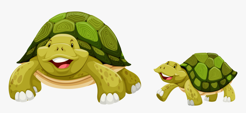 Sea Turtle Clip Art - Parts Of A Turtle Clipart, HD Png Download, Free Download