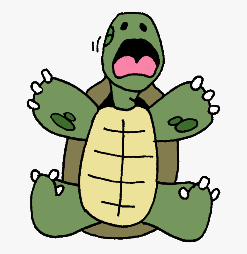 Tortoise Clipart Tortoise Turtle Clip Art - Turtle Clip Art, HD Png Download, Free Download
