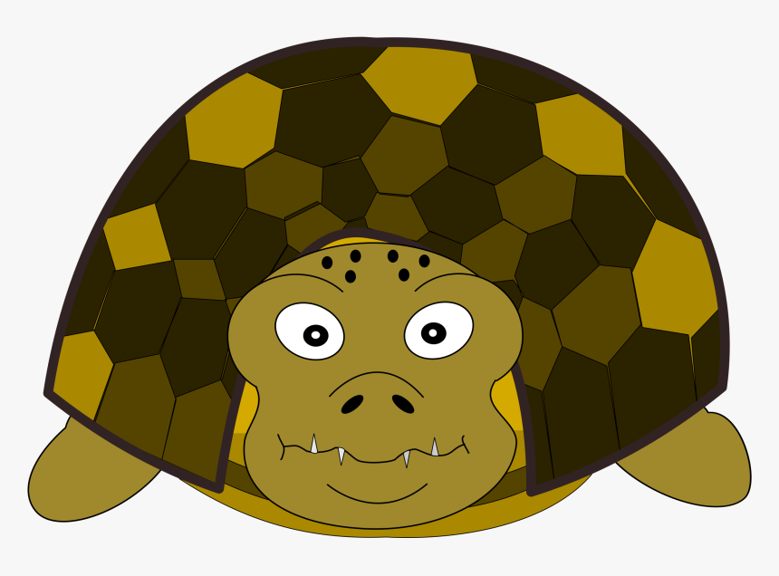 Turtle Front Clip Arts - Front Side Tortoise Clipart, HD Png Download, Free Download