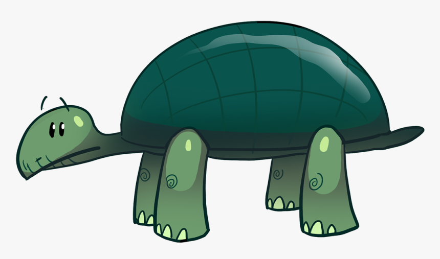 Tortoise, HD Png Download, Free Download