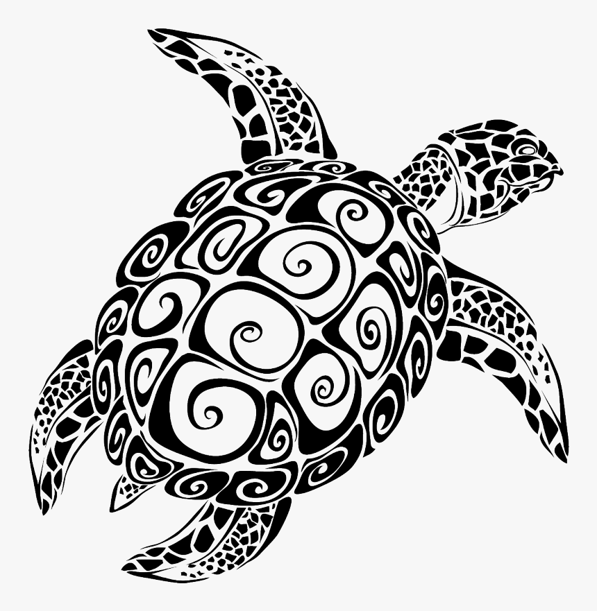 Sea Turtle Vector Graphics The Turtle Image - Sea Turtle Svg File, HD Png Download, Free Download