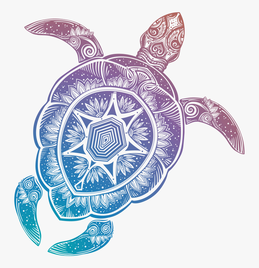 Transparent Background Turtle Clipart, HD Png Download, Free Download