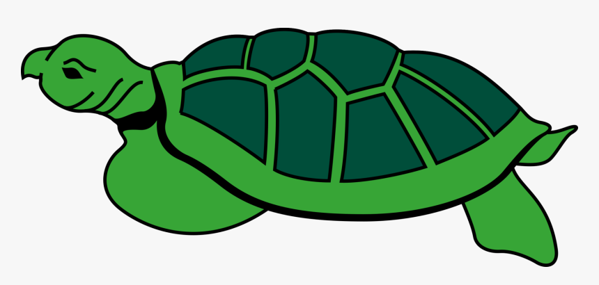Tortoise Cartoon Image In Png, Transparent Png, Free Download