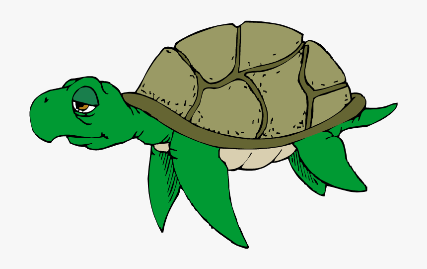 Old Turtle Png - Sad Sea Turtle Clipart, Transparent Png, Free Download