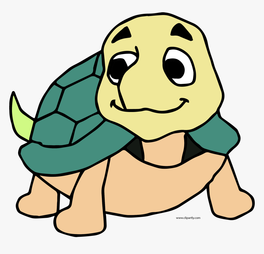 Cute Turtle Png - Transparent Background Cute Turtle Clipart Png, Png Download, Free Download