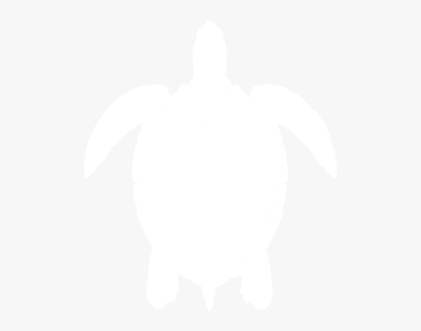 Black And White Sea Turtle Png - White Sea Turtle Clipart, Transparent Png, Free Download