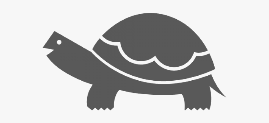 Snapping Turtle Png Transparent Images - Turtle, Png Download, Free Download