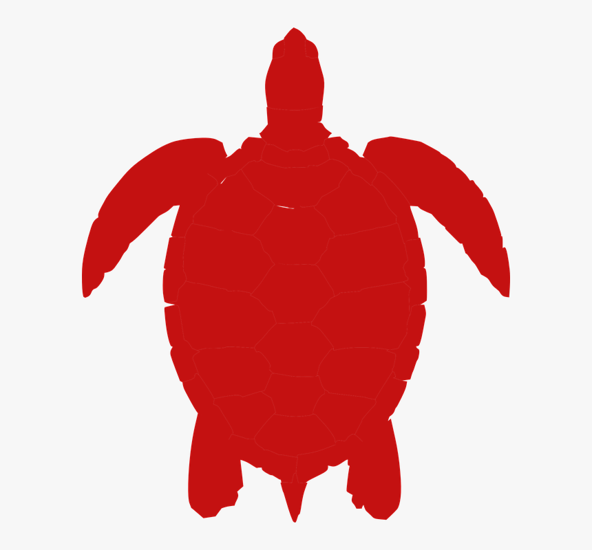 Turtle, Red, Animal, Nature, Reptile, Wild, Aquatic - Sea Turtle Clip Art, HD Png Download, Free Download