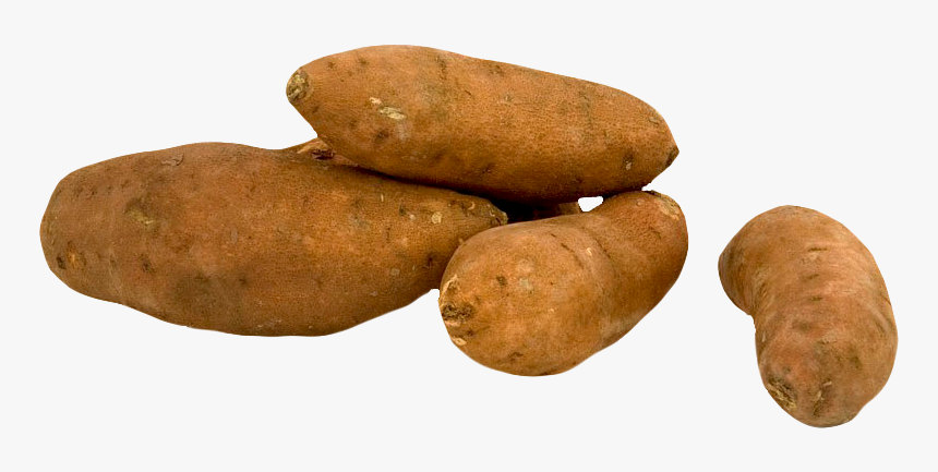 Fresh Sweet Potato Png Image - Sweet Potato Png, Transparent Png, Free Download
