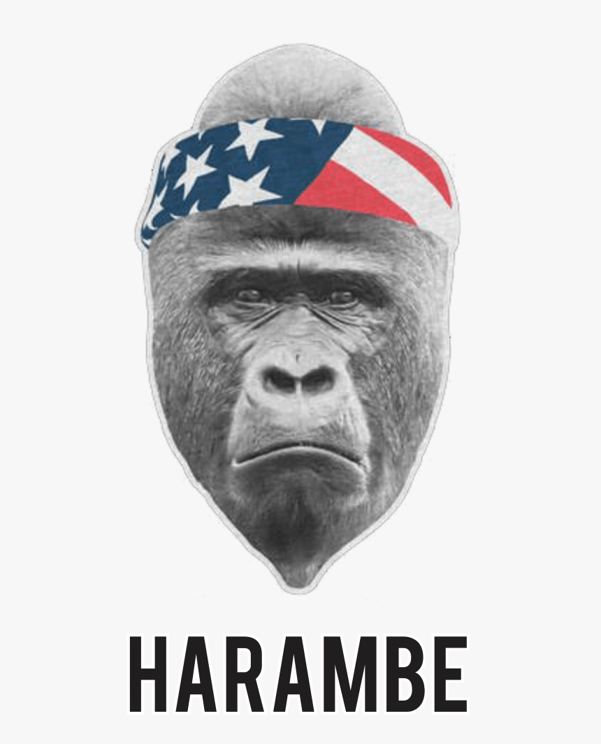 Harambe Headband - Gorilla With Headband, HD Png Download, Free Download
