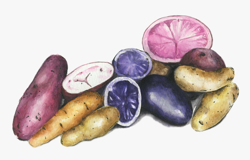 Potatoes - Tuber, HD Png Download, Free Download